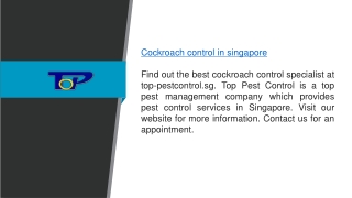 Cockroach Control in Singapore