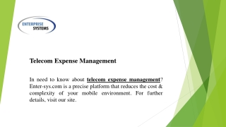 Telecom Expense Management  Enter-sys.com