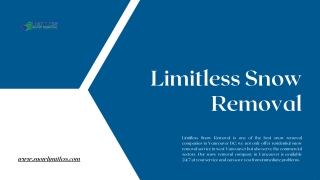 snow company | snowlimitless.com