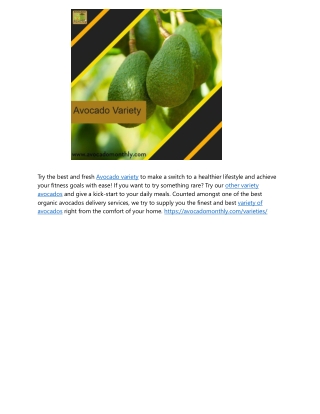 Try the best and fresh Avocado Variety!