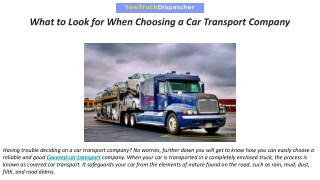 What to Look for When Choosing a Car Transport Company