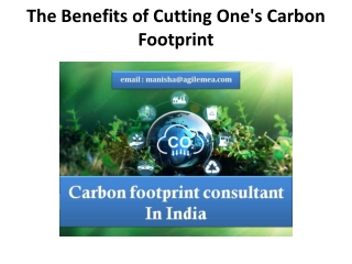 The Benefits of Cutting One's Carbon Footprint