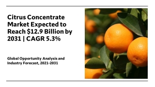Citrus Concentrate Market Size, Share | Industry Analysis