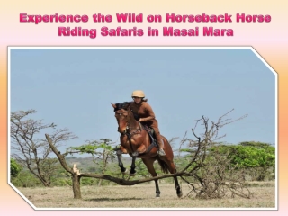 Experience the Wild on Horseback Horse Riding Safaris in Masai Mara