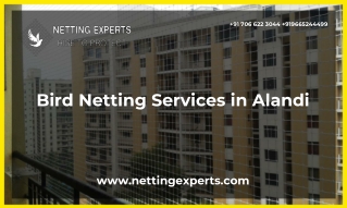 Bird Netting Services in Alandi