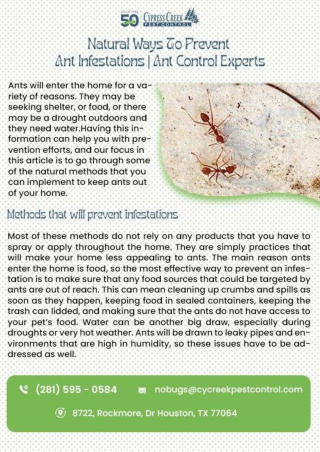 pest control cycreekpest | Houston Carpenter Ant Control