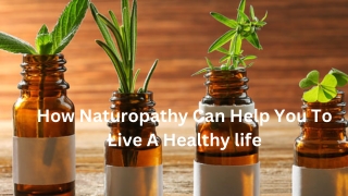 How Naturopathy Can Help You To Live A Healthy life