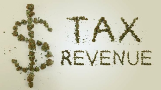 About the Taxation of Marijuana in the USA - #Michael Ayele (a.k.a) W