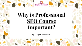 Why is Professional SEO Course Important?