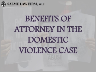 Salmu Law Domestic Violance (SLF)