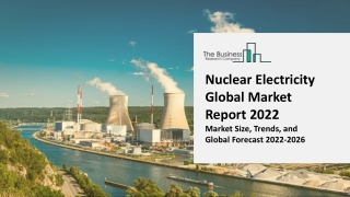 Nuclear Electricity Market