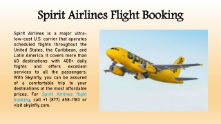 Spirit Airlines Flight Booking