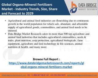 Organo-Mineral Fertilizers Market Agricultural & Animal feed