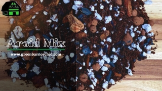 Find The Top-Quality Aroid Mix Now From Here