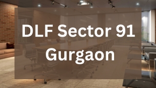 DLF Sector 91 Gurgaon - PDF