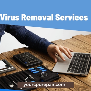Virus Removal Services