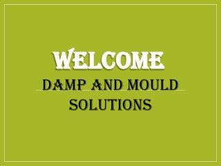 Best Pre-purchase Damp and Timber report in Willesden