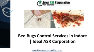 Bed Bugs Control Services in Indore | Ideal ASR Corporation