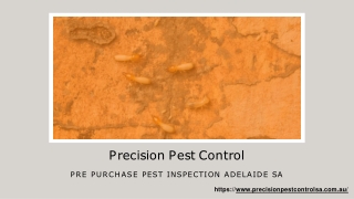 Pre Purchase Timber Pest Inspections | Precision Pest Control in South Australia