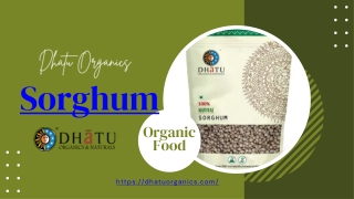 Sorghum