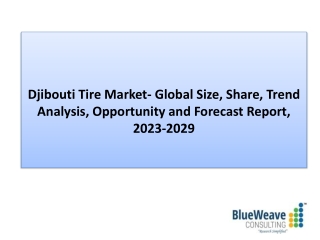 Djibouti Tire Market Growth, Trends, 2023-2029