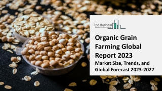 Organic Grain Farming Market Report 2023 | Insights, Analysis, And Forecast 2032