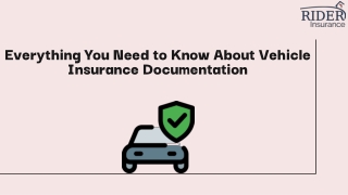 Everything You Need to Know About Vehicle Insurance Documentation