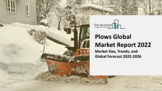 Plows Market