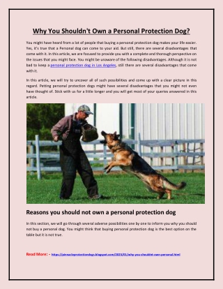 Why You Shouldn't Own a Personal Protection Dog?
