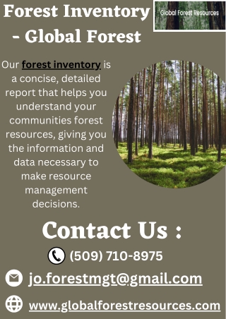 Forest Inventory - Global Forest