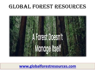 Best Forest management - Global Forest Resources