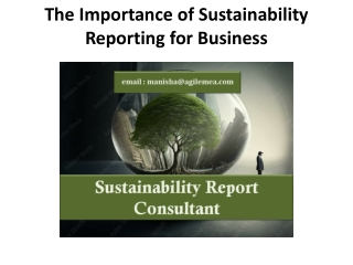 The Importance of Sustainability Reporting for Business