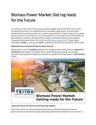 Biomass Power Market: Getting ready for the Future