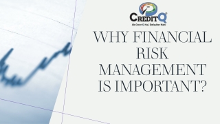 Why Financial Risk Management is Important?