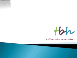 Thailand parties