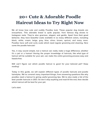20  Cute & Adorable Poodle Haircut Ideas to Try Right Now