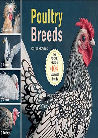 $PDF$/READ/DOWNLOAD Poultry Breeds: Chickens, Ducks, Geese, Turkeys: The Pocket