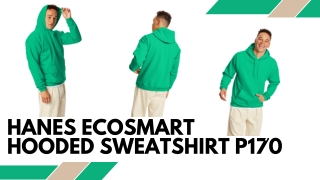 Hanes Ecosmart Hooded Sweatshirt P170