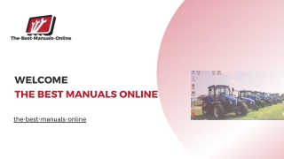 Truck Diagnostic Software Download - The-best-manuals-online.com