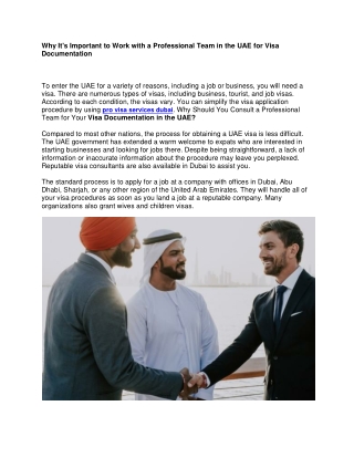 Why It's Important to Work with a Professional Team in the UAE for Visa Documentation