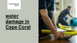 Providing the best Water Damage Services in Cape Coral