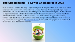 Top Supplements To Lower Cholesterol In 2023 (1)