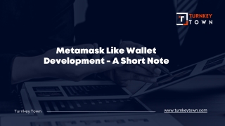 Metamask Like Wallet Development - A Short Note