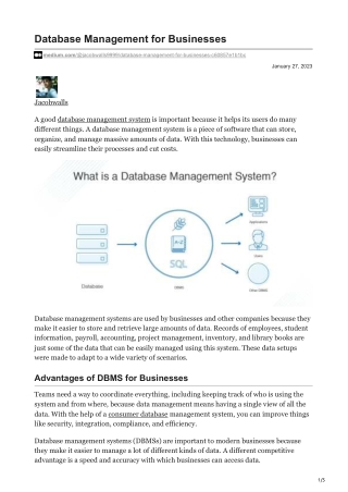 Database Management for Businesses