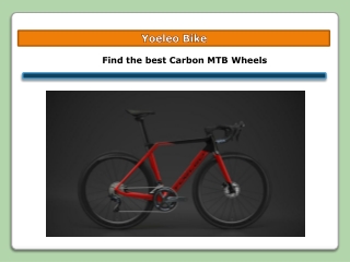 Find the best Carbon MTB wheels