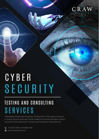 Mobile Vulnerability Assessment and Penetration Testing Service