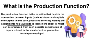 What is the Production Function