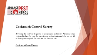 Cockroach Control Surrey  Advancepest.ca