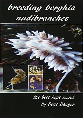 _PDF_ Breeding Berghia Nudibranches the best kept secret