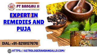 Expert in Remedies and Puja | Call Now |  91-8219157676